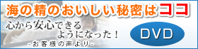�w�����������͊C����̂�������́x