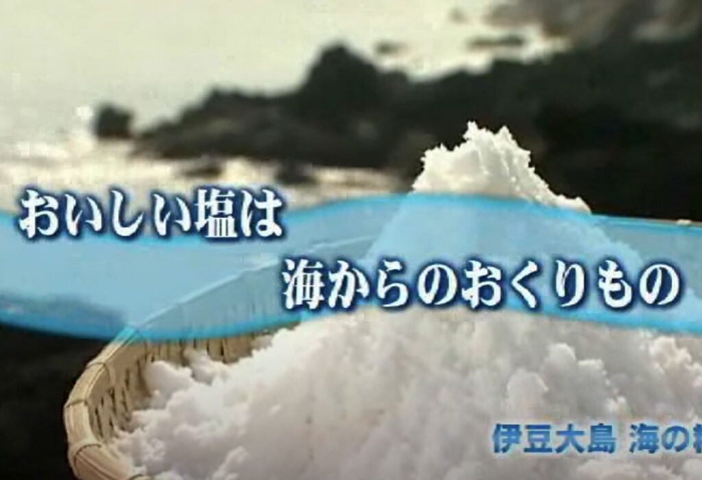 おいしい塩は海からのおくりもの 海水100 天日と平釜 日本の伝統海塩 海の精 うみのせい