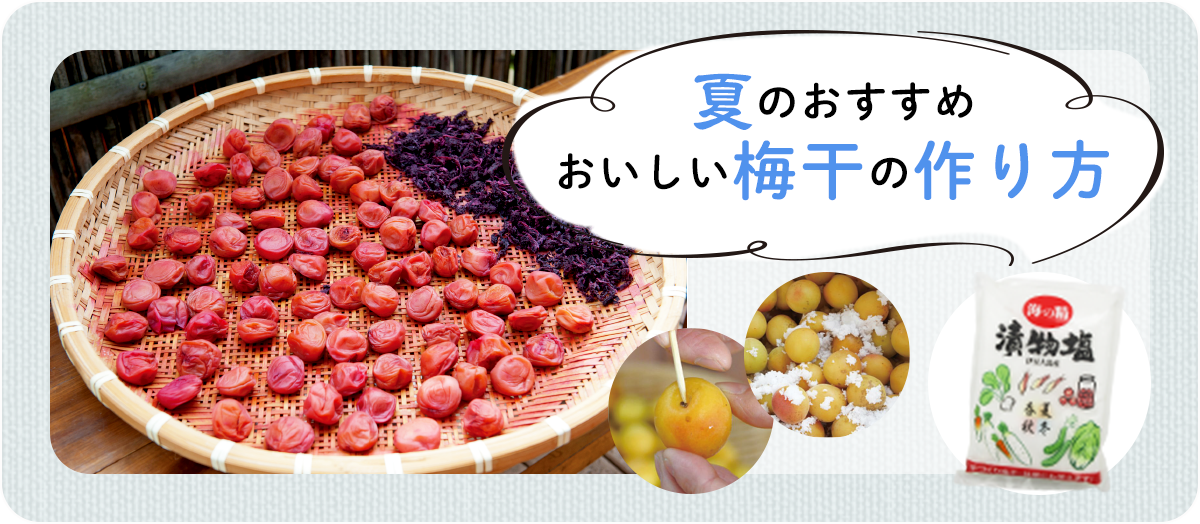 おいしい梅干の作り方＜夏のおすすめ＞