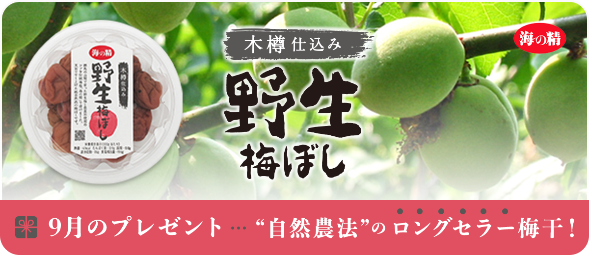 9月のプレゼント