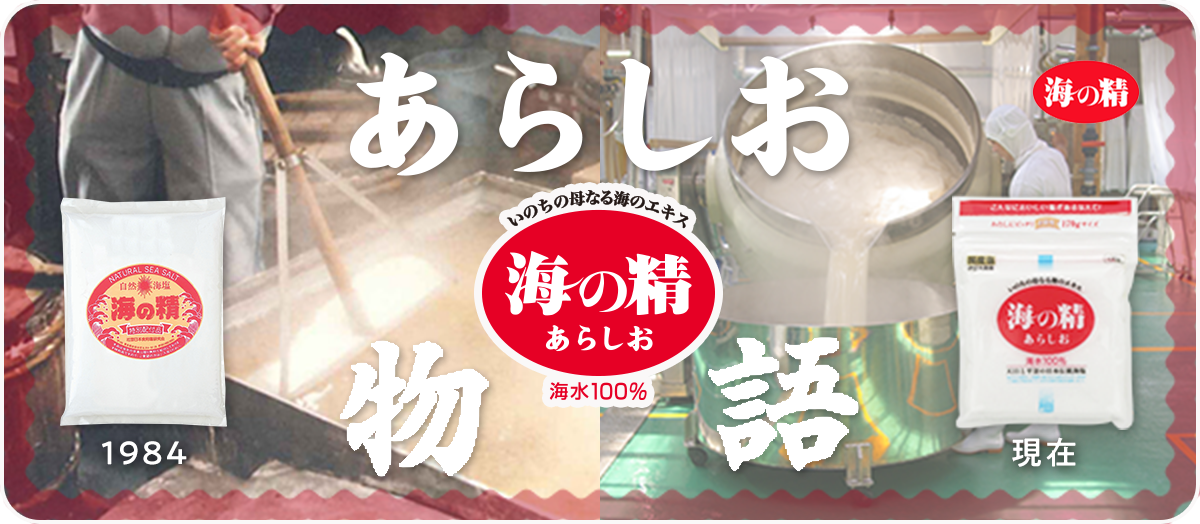 あらしお物語